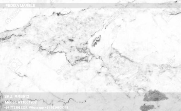 White Indian Marble Price Plain White Marble Tiles Venatino Marble Tile